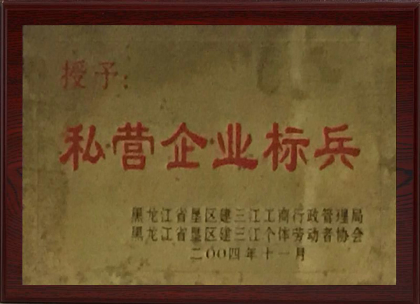 私营企业标兵
